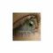 l_eftaxia