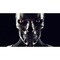 X-Terminator