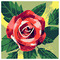 Eirini_Politou4976
