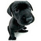 kostaspaouris6@gmail.com