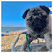 Maria_Pappou5348