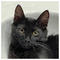 KATER_Przn