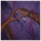 gewrgia_kgt