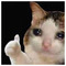gato_the_destroyer