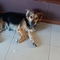 Panagiotis_Konstantopoulos1310