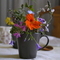 Ioannis_1234