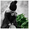 Aliki_Giatra