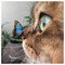 christina_Giannoulidou9167