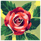 Maria_Konstantopoulou9926