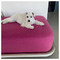 dilys_stinson