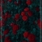 doraα