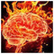 TheToxic_Brain