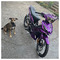 Petros_Goudogiannis