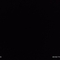 John_Giannakos4745