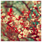 eva_hatzi5620
