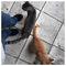 Stella_Giannopoulou558
