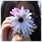 Tina_Bil