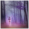 Victoria_Papaioannou2999