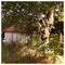 Anastasios_Xanthopoulos7636