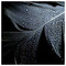 sopo_mamulashvili
