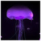 Ventsislav_Nanchev