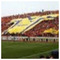 Nicos_Papadopoulos5689