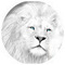 Leonidas_Tritsiniotis__MegaGal