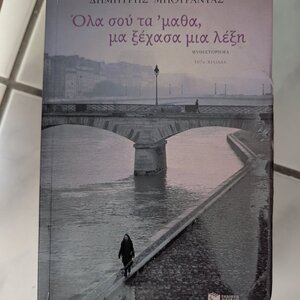 Όλα σου τα 'μαθα, μα Ξέχασα μια Λέξη, Μυθιστόρημα