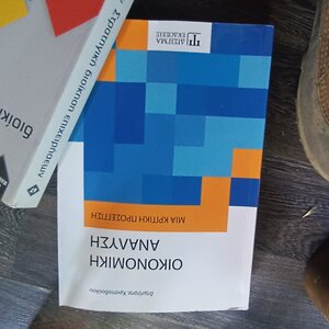 Οικονομική ανάλυση, Μια κριτική προσέγγιση