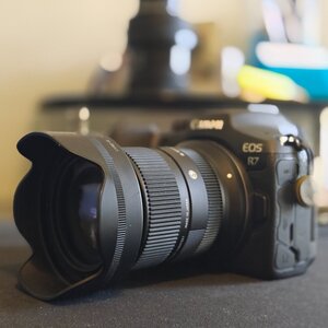 Canon EOS R7 + Sigma 18-50mm f/2.8 + Sigma 30mm f/1.4 + Canon RF 24-50MM f/4.5-6.3