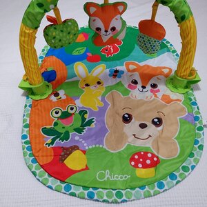 Chicco Magic Forest Γυμναστήριο Δραστηριοτήτων για Νεογέννητα 10471
