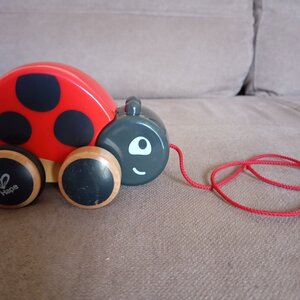 Hape Συρόμενο Παιχνίδι Push & Pull Συρόμενη Πασχαλίτσα από Ξύλο για 12+ Μηνών E0362