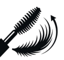 Καμπύλη