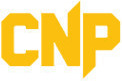CNP Professional