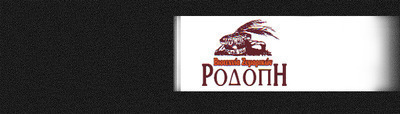 Rodopi
