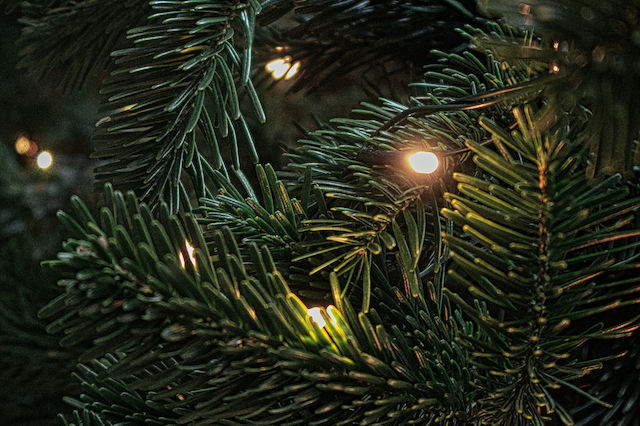 Wie man den Weihnachtsbaum schmückt - Praktische Tipps
