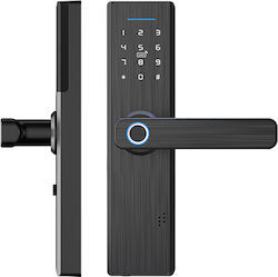 Electronic Locks