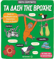 Γεωγραφία