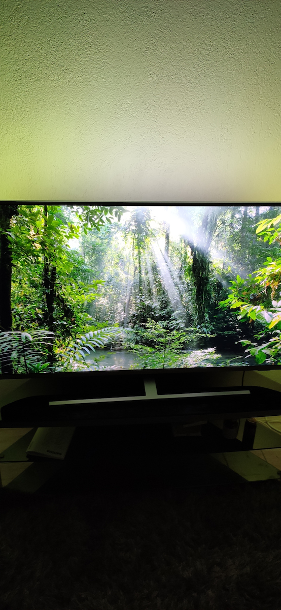 Philips Televizor inteligent 50" 4K UHD LED 50PUS8505 HDR (2020)