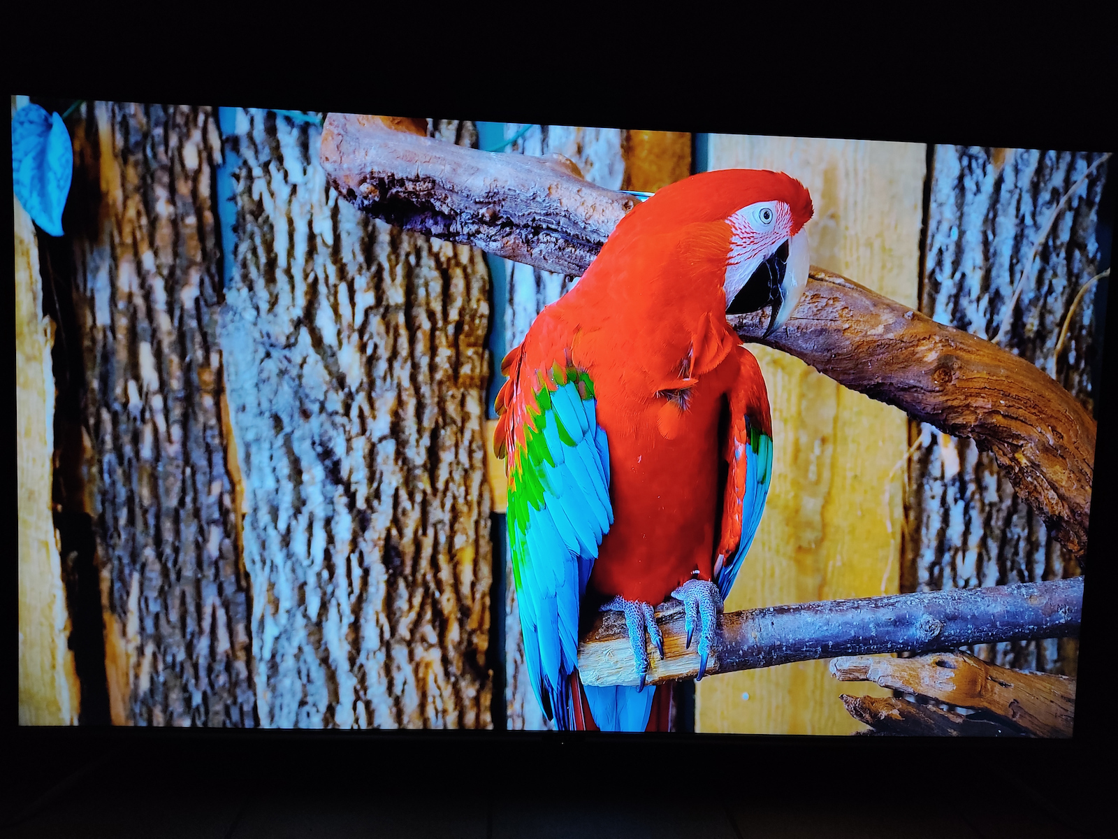 Metz Smart Τηλεόραση 65" 4K UHD LED 65MUB7000 HDR (2020)