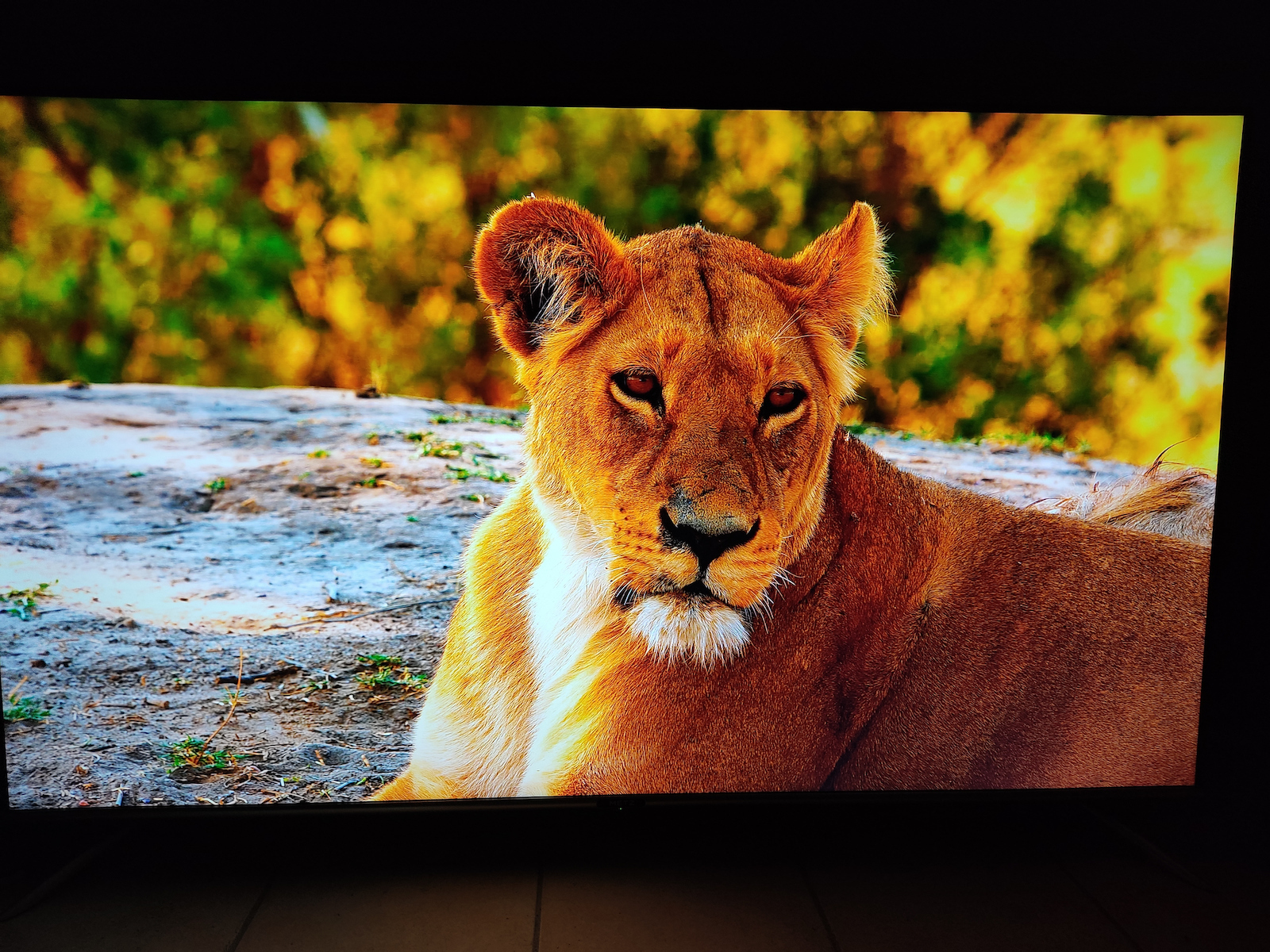 Metz Smart Τηλεόραση 65" 4K UHD LED 65MUB7000 HDR (2020)