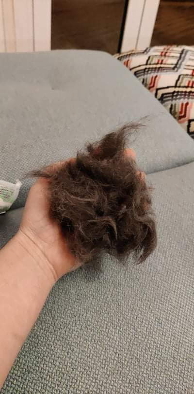 FURminator Βούρτσα Γάτας