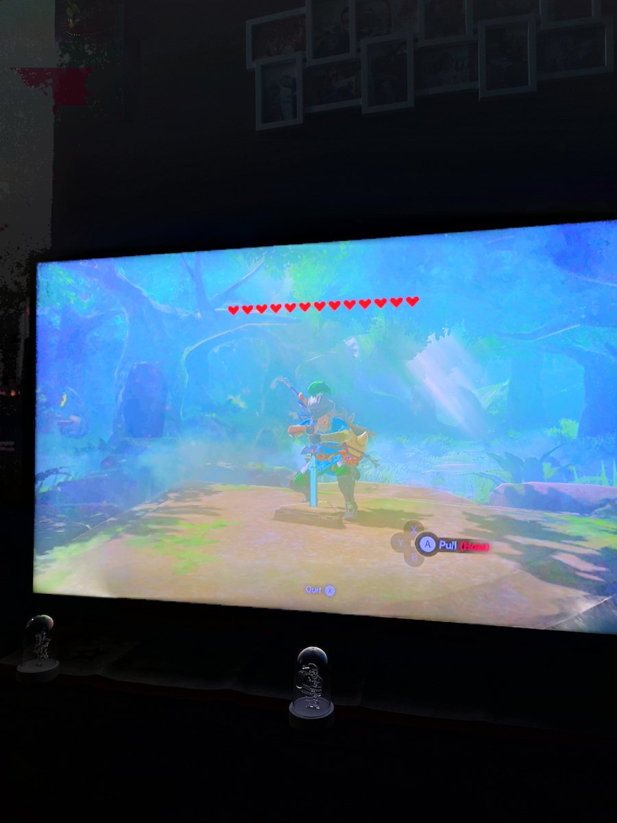 The Legend of Zelda Breath of the Wild Switch Game