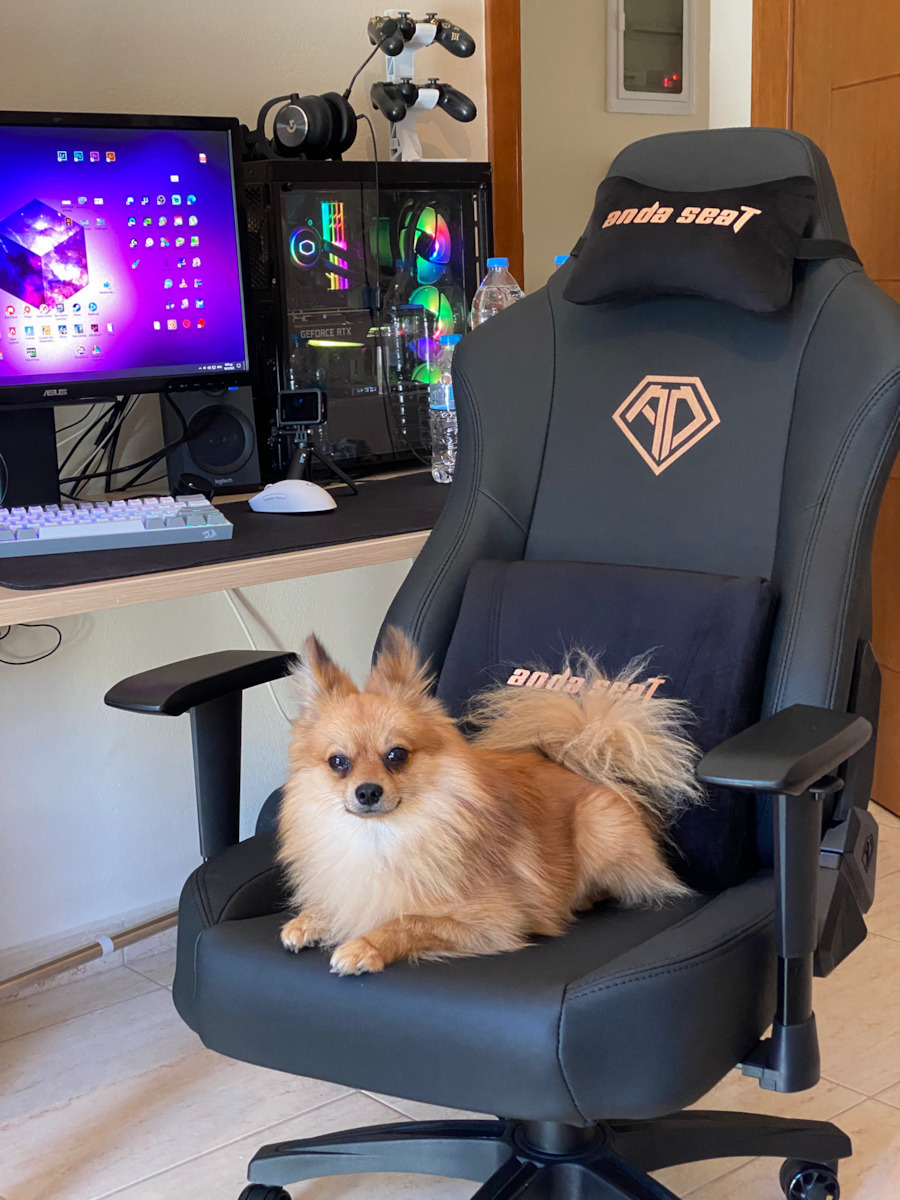 Anda Seat Phantom 3 Υφασμάτινη Καρέκλα Gaming με Ρυθμιζόμενα Μπράτσα Γκρι