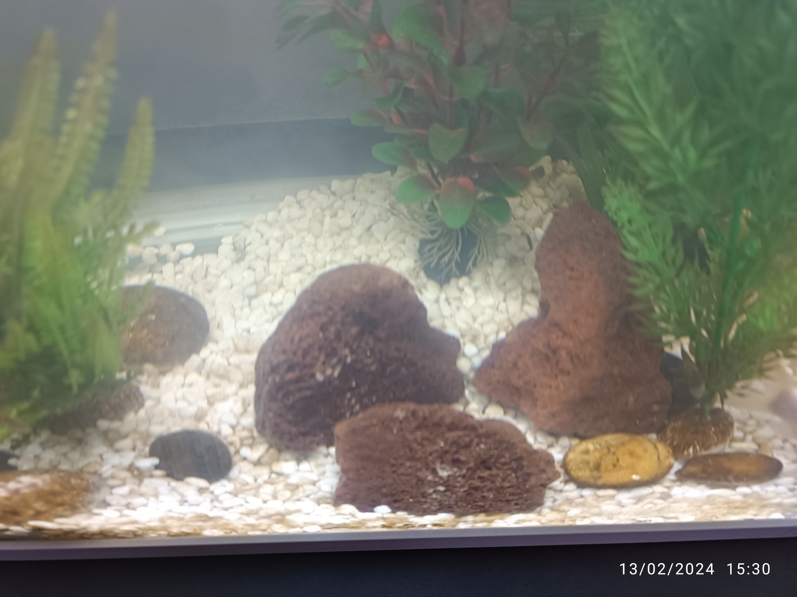 Lava Rocks Decorative Stone for Aquariums 5-8cm 6τμχ 23825