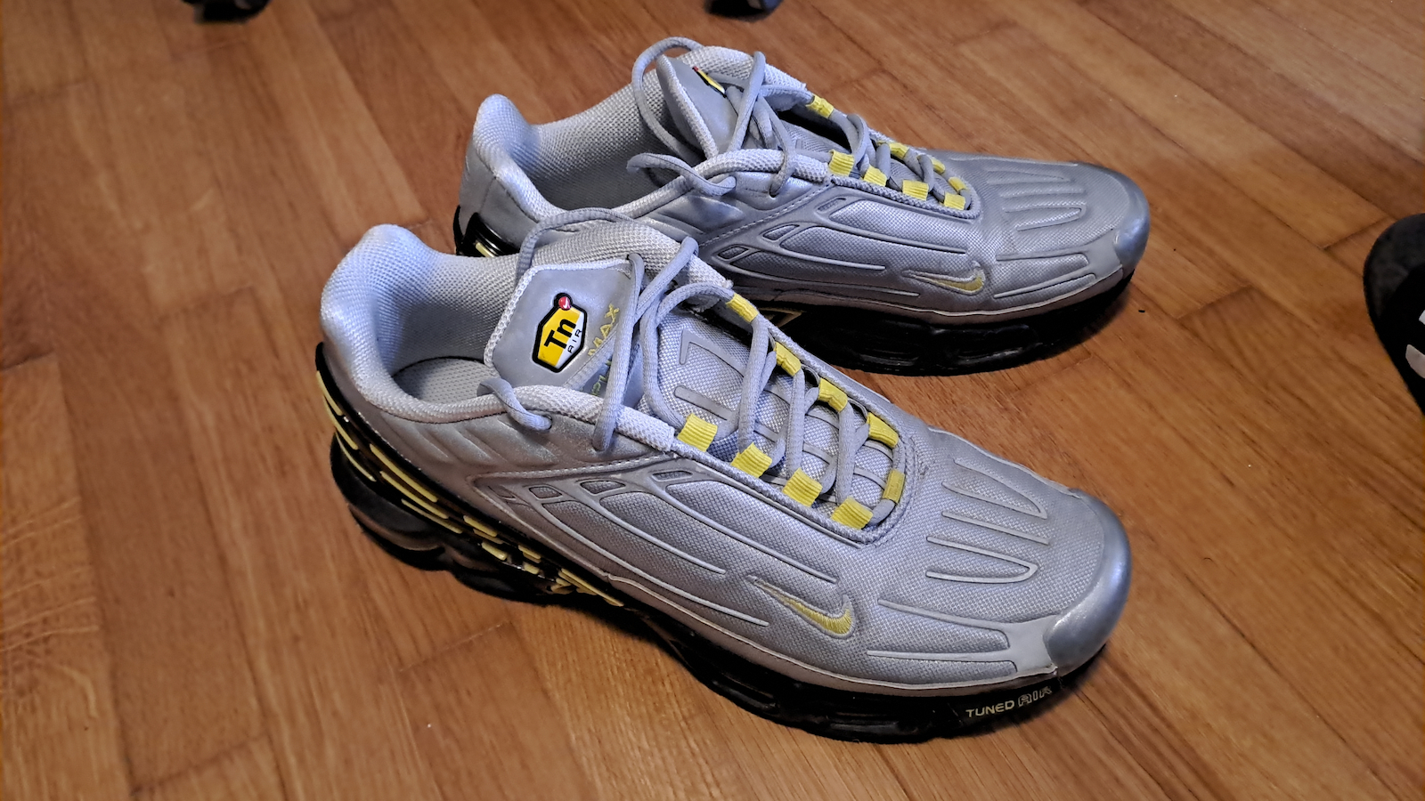 Nike Air Max Plus Sneakers Silver FZ4623-001