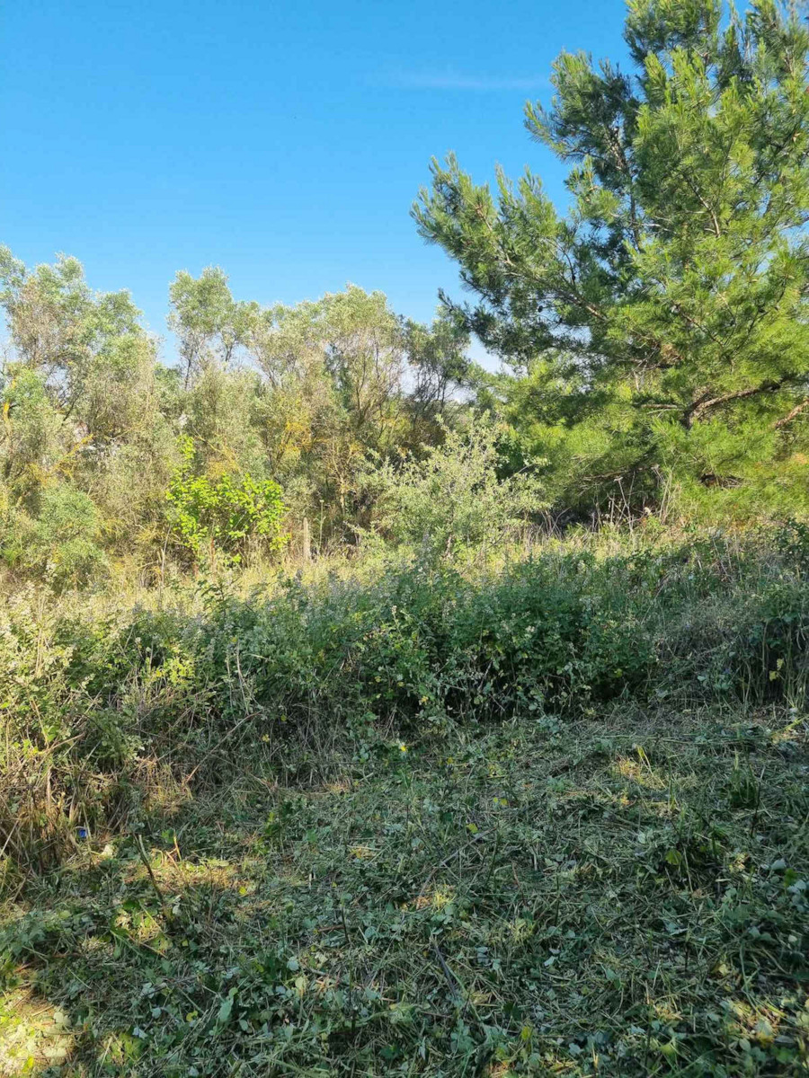 Nakayama PB7500 Δίχρονο Βενζινοκίνητο Χορτοκοπτικό Ώμου / Χειρός 3hp 8.8kg