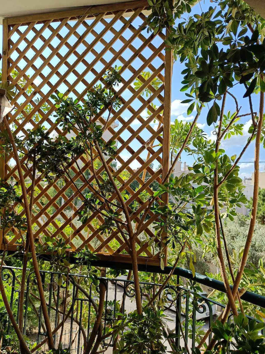 Diagonal (6x6) Wood Trellis Beige 100x100cm