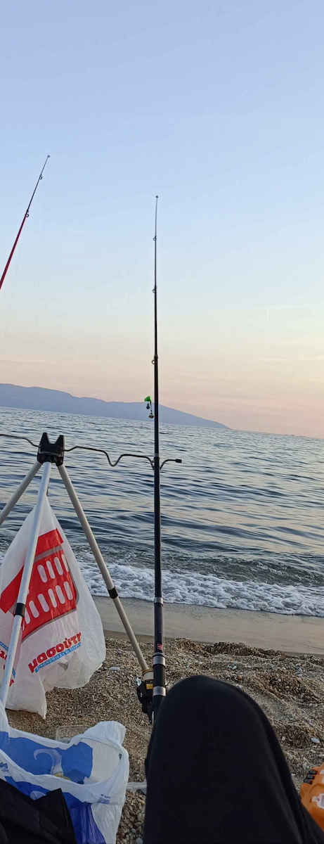 Robinson Carbonic Tele Καλάμι Ψαρέματος για Spinning 2.4m 20-50gr