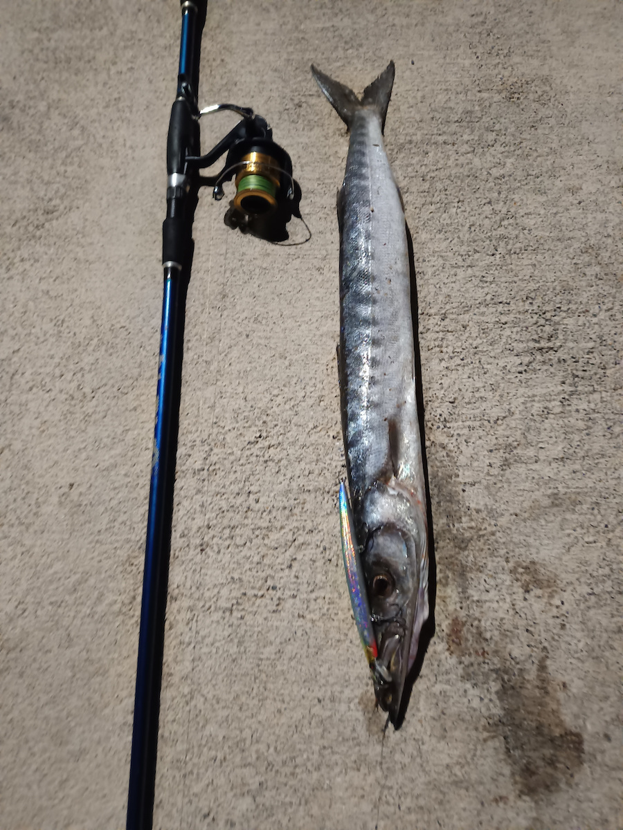 Robinson Magnetic Jigger Риболовен прът за Спининг 2.70м 5-25гр